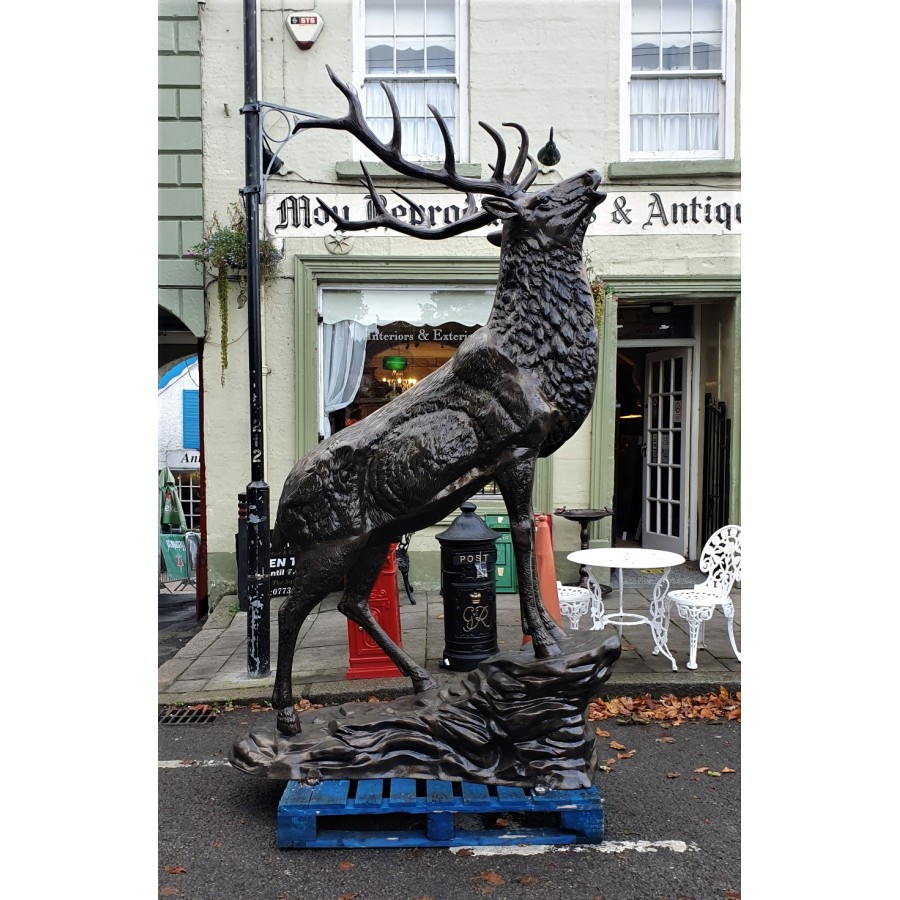 Elk on Rock Lifesize